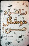 کتاب نامزد خوشگل من! نوشته  حمید داودآبادی